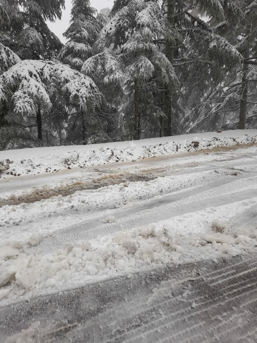 تساقطات ثلجية مهمة بجبل تيزي فري وبني عمارت بإقليم الحسيمة تساقطات ثلجية مهمة بجبل تيزي فري وبني عمارت بإقليم الحسيمة