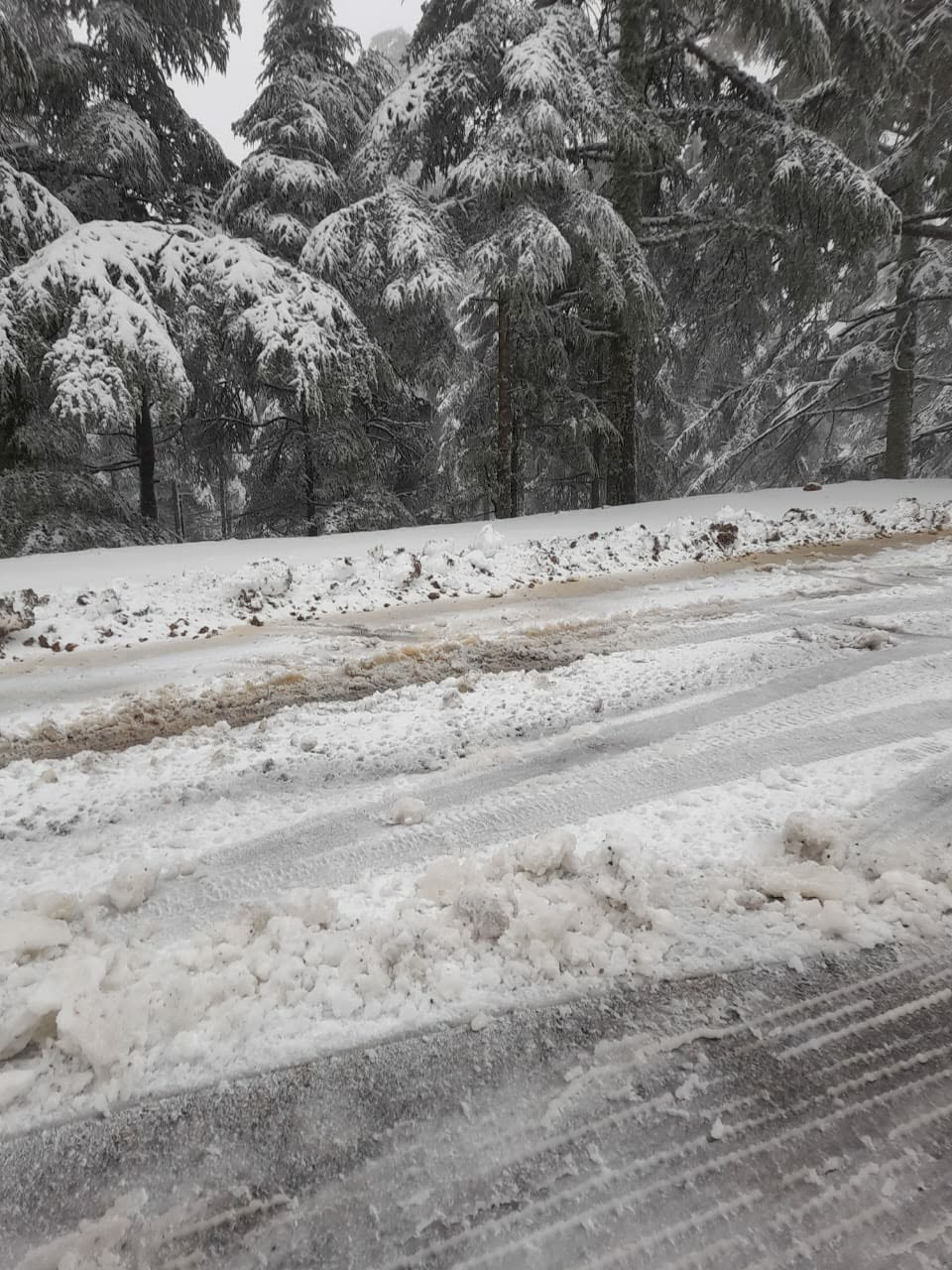 تساقطات ثلجية مهمة بجبل تيزي فري وبني عمارت بإقليم الحسيمة تساقطات ثلجية مهمة بجبل تيزي فري وبني عمارت بإقليم الحسيمة